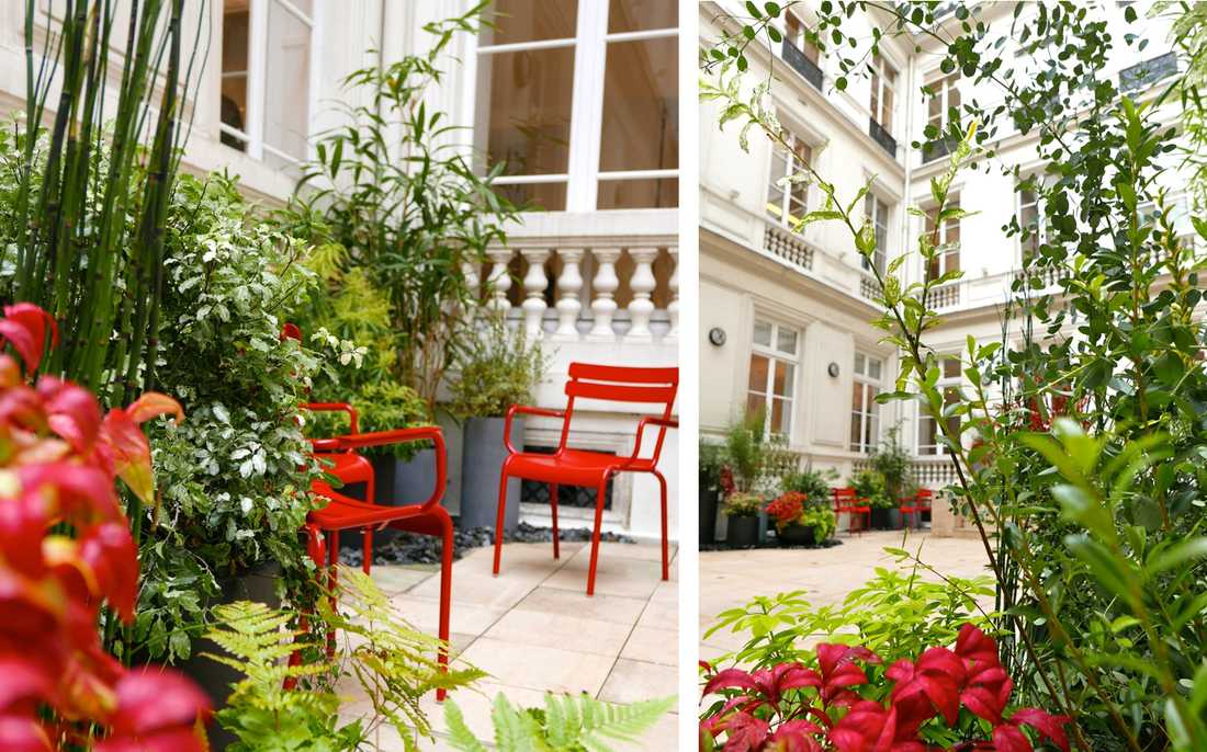 Aménagement paysager de la cour d'un hôtel particulier à Toulon