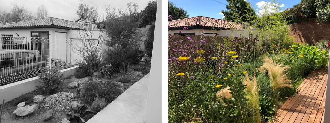 Avant-après de l'aménagement d'une petit jardin dans un lotissement par un paysagiste dans le Var