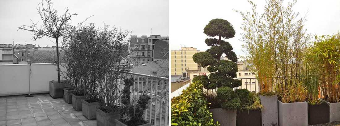 Avant - Après : Aménagement paysagé d'une terrasse avec vue à Toulon