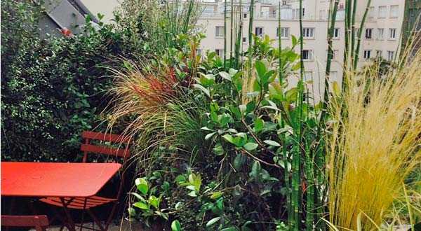 Avant aprés de la rénovation d'une terrasse sur un toit en zinc dans un appartement à Toulon