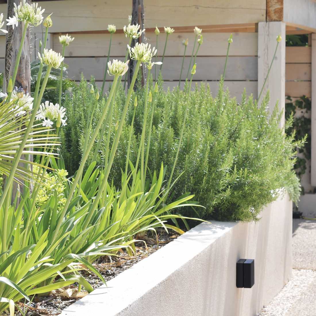 Jardinières maçonnées par un paysagiste dans un jardin à Saint-Tropez