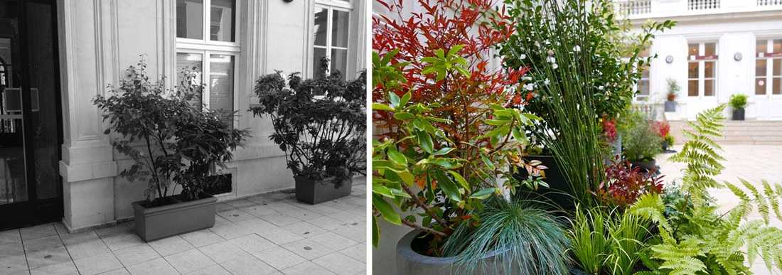 Un jardinier paysagiste aménage la cour intérieure d'un hôtel particulier à Toulon