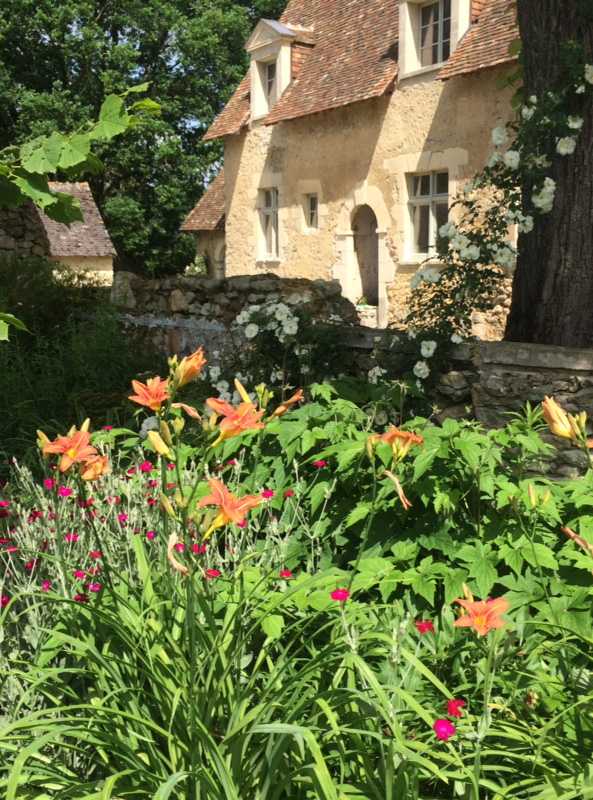 Fleurs d'orangés dans un jardin dans le Var