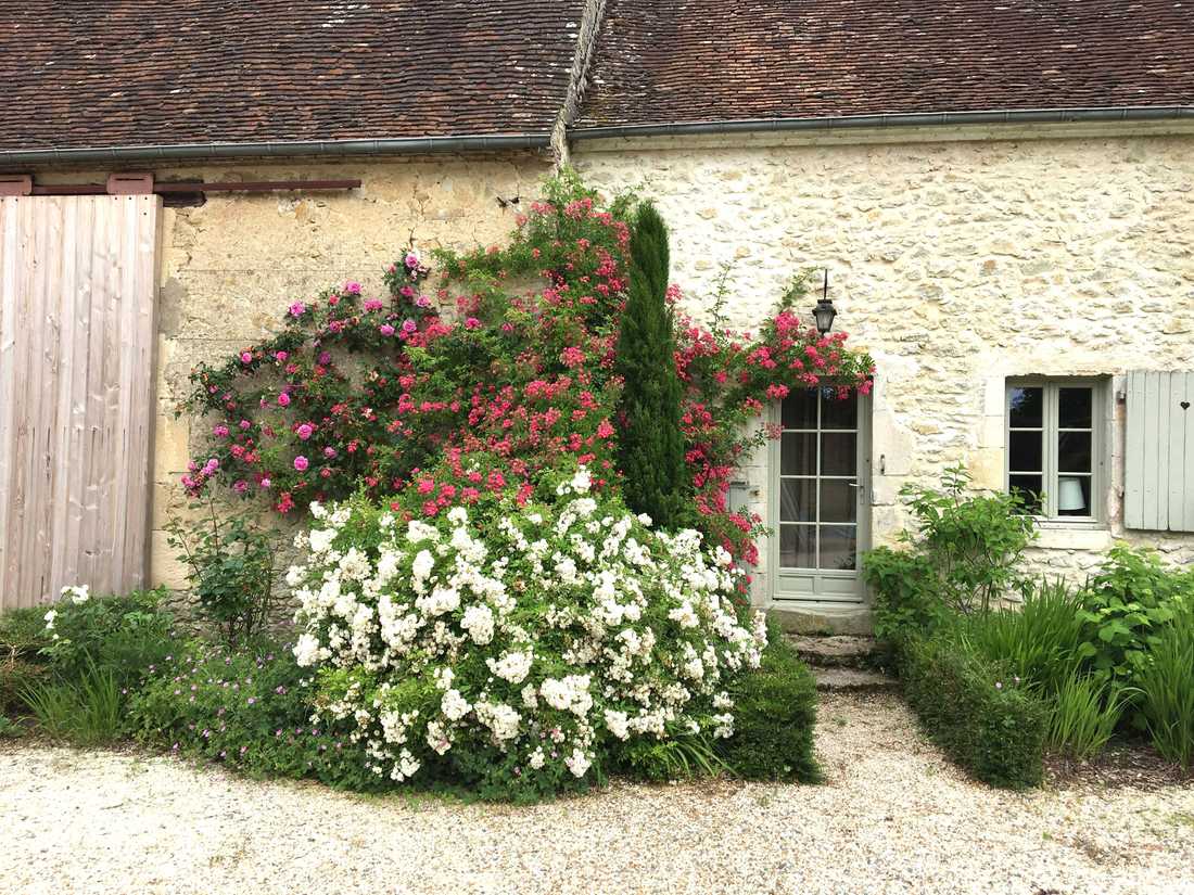 Jardin d'une maison ancienne à Toulon