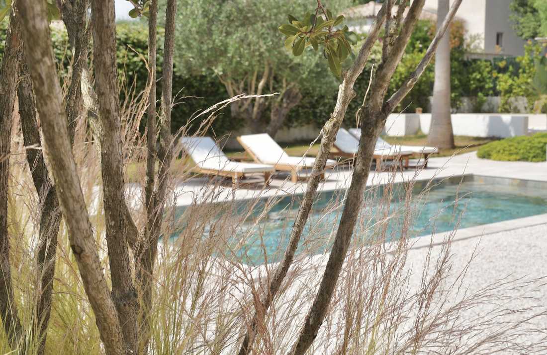 Jardin avec piscine esprit ibiza dans le Golfe de Saint-Tropez