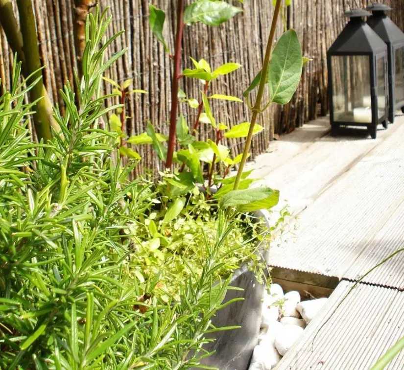 Végétalisation d'un toit-terrasse par un architece paysagiste dans le Var