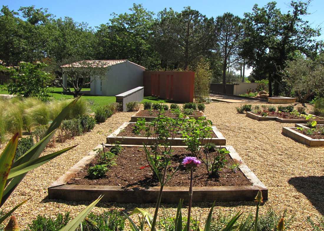 Potager méditerrannéen réalisé par un jardinier paysagiste à Toulon