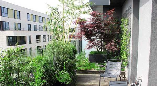 Aménagement de la terrasse d'un penthouse par un paysagiste à Toulon